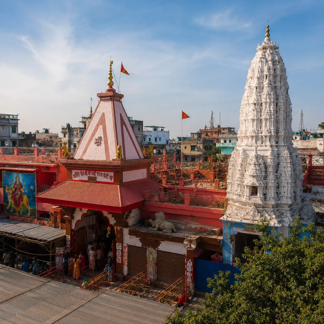 Patan Devi Temple (Badi Patan Devi)